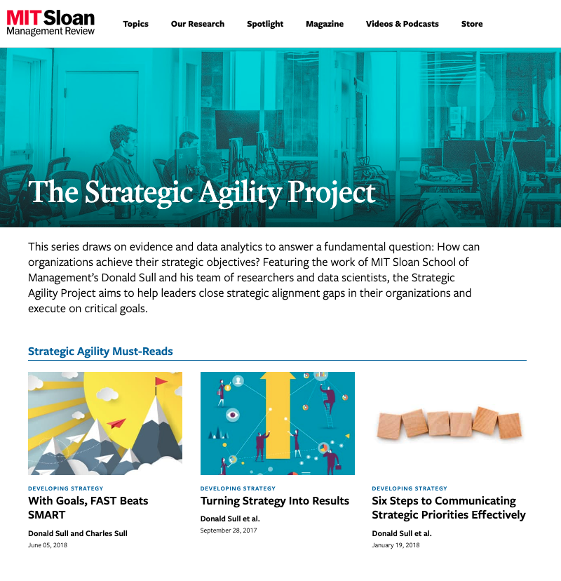 The Strategic Agility Project